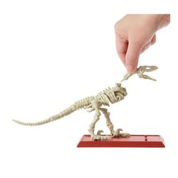 Jurassic-World-Esqueletos-Jurassicos-Velociraptor---FTF03---Mattel